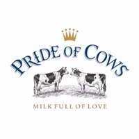 Pride of Cows(@Prideofcows) 's Twitter Profile Photo