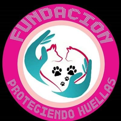 fundación de ayuda y rescate animal