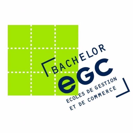 BACHELOR IN BUSINESS & MANAGEMENT
Diplôme Bac +3 visé par l'état.
Programme ERASMUS +
Validation de 180 ECTS
1er réseau de BACHELOR de France.