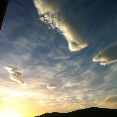 loiulebb's profile picture. 