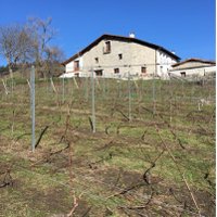 Farm Stay (@erlete_goikoa) 's Twitter Profile Photo Farm Stay (@erlete_goikoa) 's Twitter Profile Photo