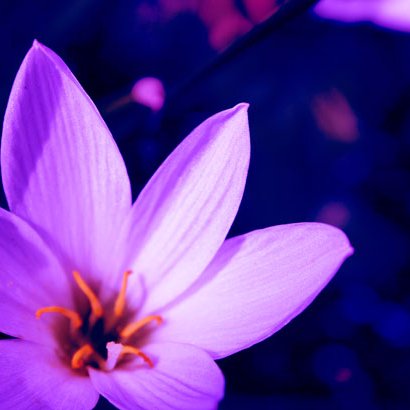 suh687RTMS17's profile picture. #Math and #Science lover. Future #professor.