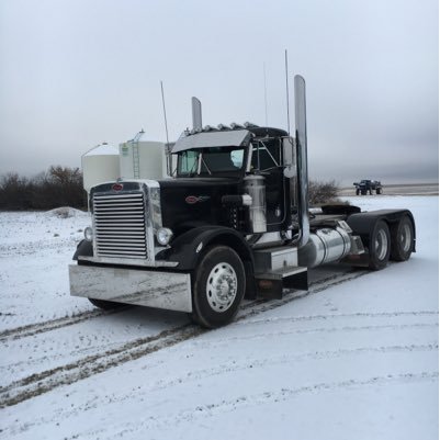 ridgelyfarms's profile picture. 