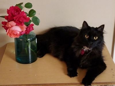 ShellyB0918's profile picture. 