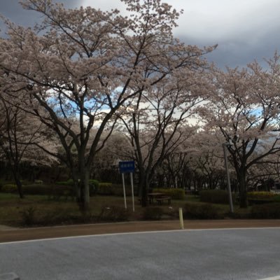 現役中央大学生のかとしゅんです!偏差値30、E判定から逆転合格しました。僕が逆転合格したMARCHへ行くための勉強法を公開しています!高校野球やってました!また、質問相談等もいつでもどうぞ!気軽にDMして下さい!
