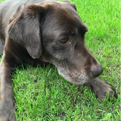 Par4thecourse6's profile picture. 