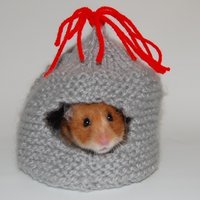 Naomi Yang (@naomivision) 's Twitter Profile