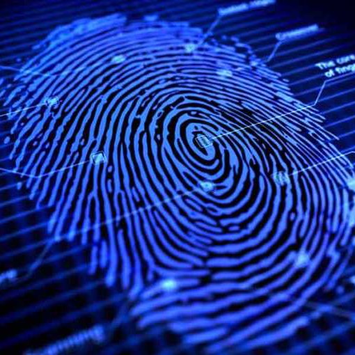 Criminal Defense, Mitigation, Personal Injury, Child Custody, Background Checks