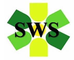 socialwebstrtgy's profile picture. Social web strategy education, training, consulting, and implementation.