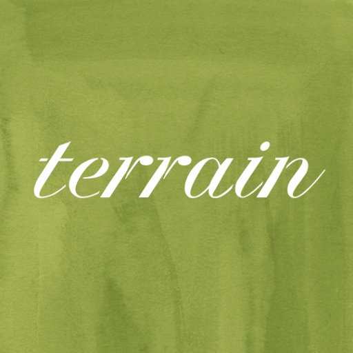 Terrain Profile