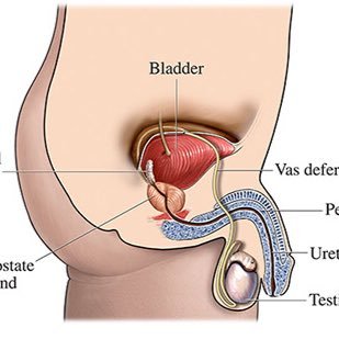 Prostatitis Sufferer and Survivor, there is hope for you. Contact us if you tried everything with no success. Are u tired of endless antibiotics that dont work?