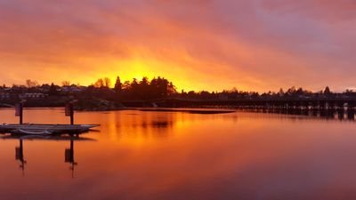 EthioZema's profile picture. 