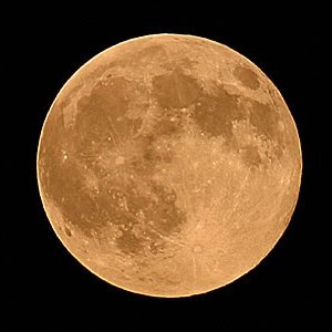 Cybergeus's profile picture. 