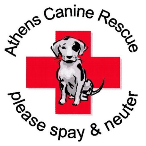 ATHCanineRescue's profile picture. We are a non-profit volunteer network of foster homes rescuing stray dogs in the Athens area and placing them in forever homes.