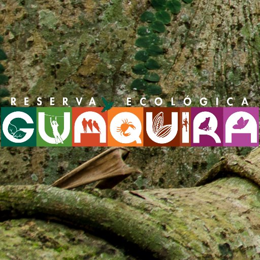 Un destino recomendado para experimentar el turismo ecológico en #Yaracuy 
Gmail: https://t.co/AqAh0flZu7.guaquira@gmail.com  
#Venezuela #Turismo #Naturaleza