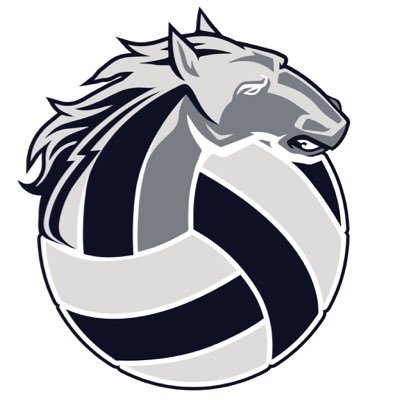 SRHS Volleyball Profile