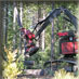 Like Forestry Equipment? We do. We have a website all about forestry equipment so stop on by and see us.