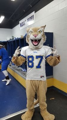 Wildcat5580's profile picture. You gotta reach for the bar to pull yourself up