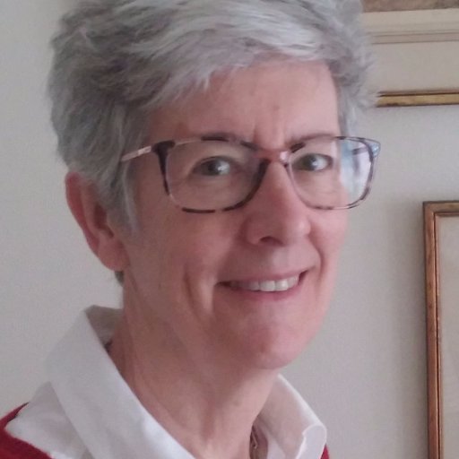 Democrat, feminist, tech maven, volunteer. See also @aauwnc