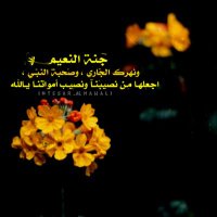 شيخة شموخ وعز (@intesaralmawali) 's Twitter Profile