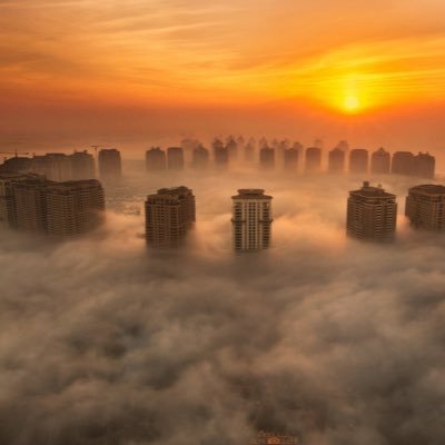 vasans7's profile picture. 