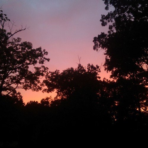 FirealarmPlays's profile picture. Partnered with Pat Smith ~  Nothing gets me going more than Jack burning bacon 🔥 Speak Love ~ Speak Life