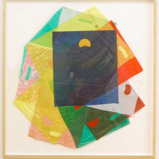 Dianna Cohen Profile