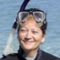 Researcher Interested in impact of physical processes on coastal ecosystems, seagrass rehabilitation, remote sensing, nanotechnology, sustainable environment.