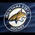 Montana State Hockey (@msubobcathockey) Twitter profile photo Montana State Hockey (@msubobcathockey) Twitter profile photo