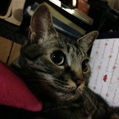 macopon39s's profile picture. 