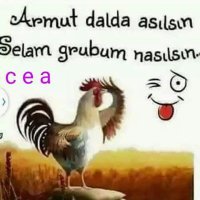 Türbanlı (@ensesanne) Twitter profile photo