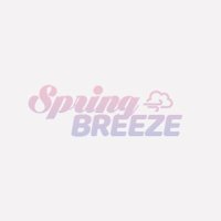 sᴘʀɪɴɢ ʙʀᴇᴇᴢᴇ (@springbreeze430) 's Twitter Profile