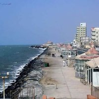 الحديدة احلى (@cn217hlmzwq5lqg) Twitter profile photo