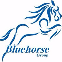Bluehorse Group(@bluehorsegroup) 's Twitter Profile Photo