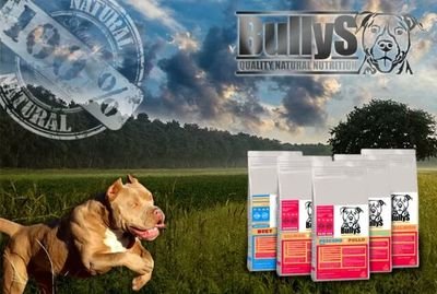 bullysnutrition's profile picture. Nutre a tu perro biológicamente natural