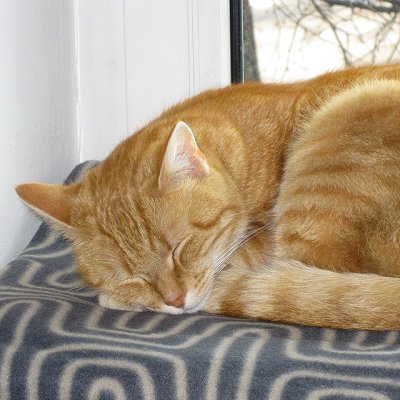 nekobeam_com's profile picture. いろいろな文章が好き。書籍、カタログ、パンフレット、などなど。近頃はブイチューバーを見て過ごす日々。