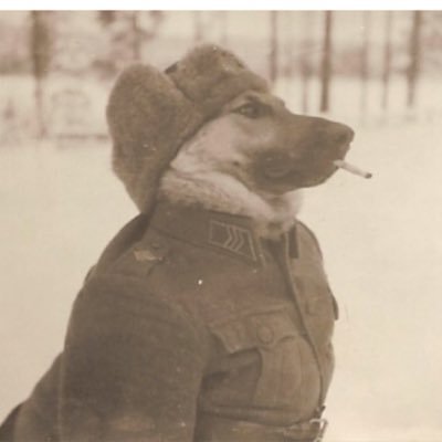 trollingisfun21's profile picture. 