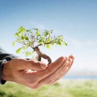 Greencode5's profile picture. 