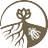 soilecol's profile image