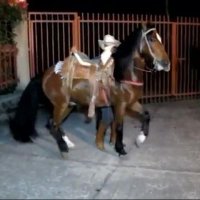 José (@jose59403554) 's Twitter Profile