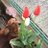 my_d_spz0325