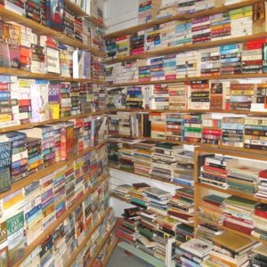 Into books since 1996 from best seller paperbacks to scarce hard to find hard covers
