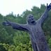 St. Benedict Center (@stbencenter) Twitter profile photo St. Benedict Center (@stbencenter) Twitter profile photo