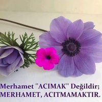 Birgül Dinç (@birgldin2) 's Twitter Profile