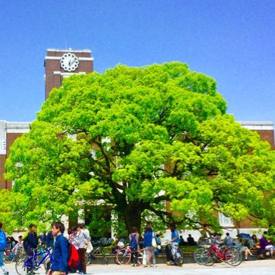 KyotoTango's profile picture. Tango Practica every Saturday and Sunday@ Rumbita. (旧京大タンゴサークル)。土10:00-13:00@ルンビータにて練習してます。未経験者初心者も大丈夫なので、皆さん気軽に是非。見学希望の方は事前にご連絡を頂けると嬉しいです✨