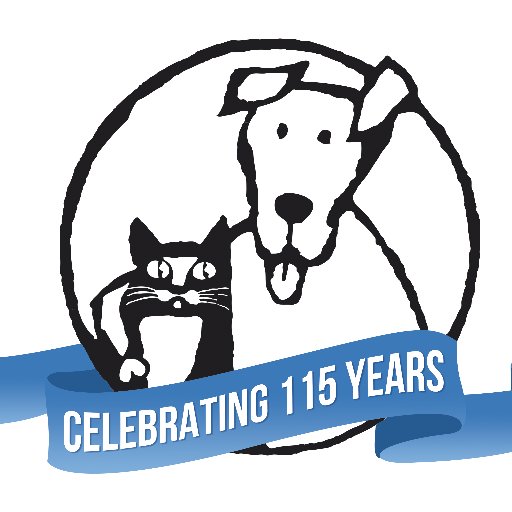 The first open admission, LEED certified, no-kill shelter in the United States, saving lives since 2001! #nokill #adopt