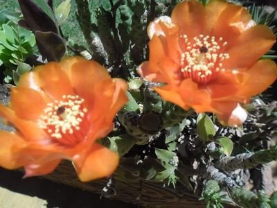 Beatriz10093036's profile picture. Actitud de servicio