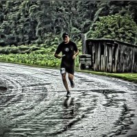 Fenway (@fenwayf3) 's Twitter Profile