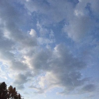 alumbre73's profile picture. la vida es simple,las malas ordenanzas hacen de la vida un infierno.