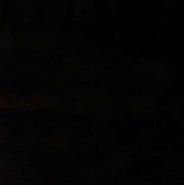 Priya_CLoop's profile picture. 양귀비의 꽃말은 위로.